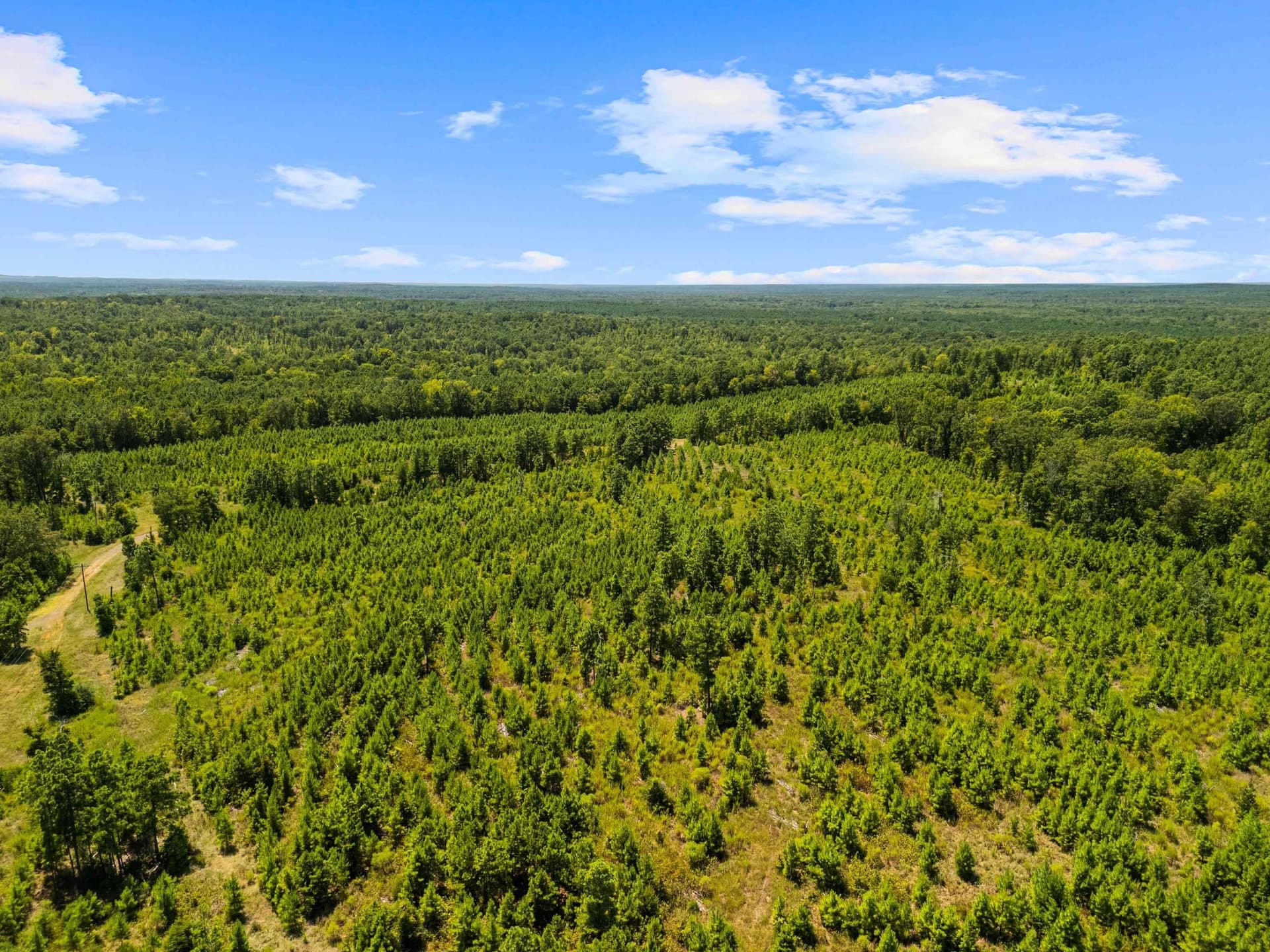 100.72 acres in Texas County - photo 14