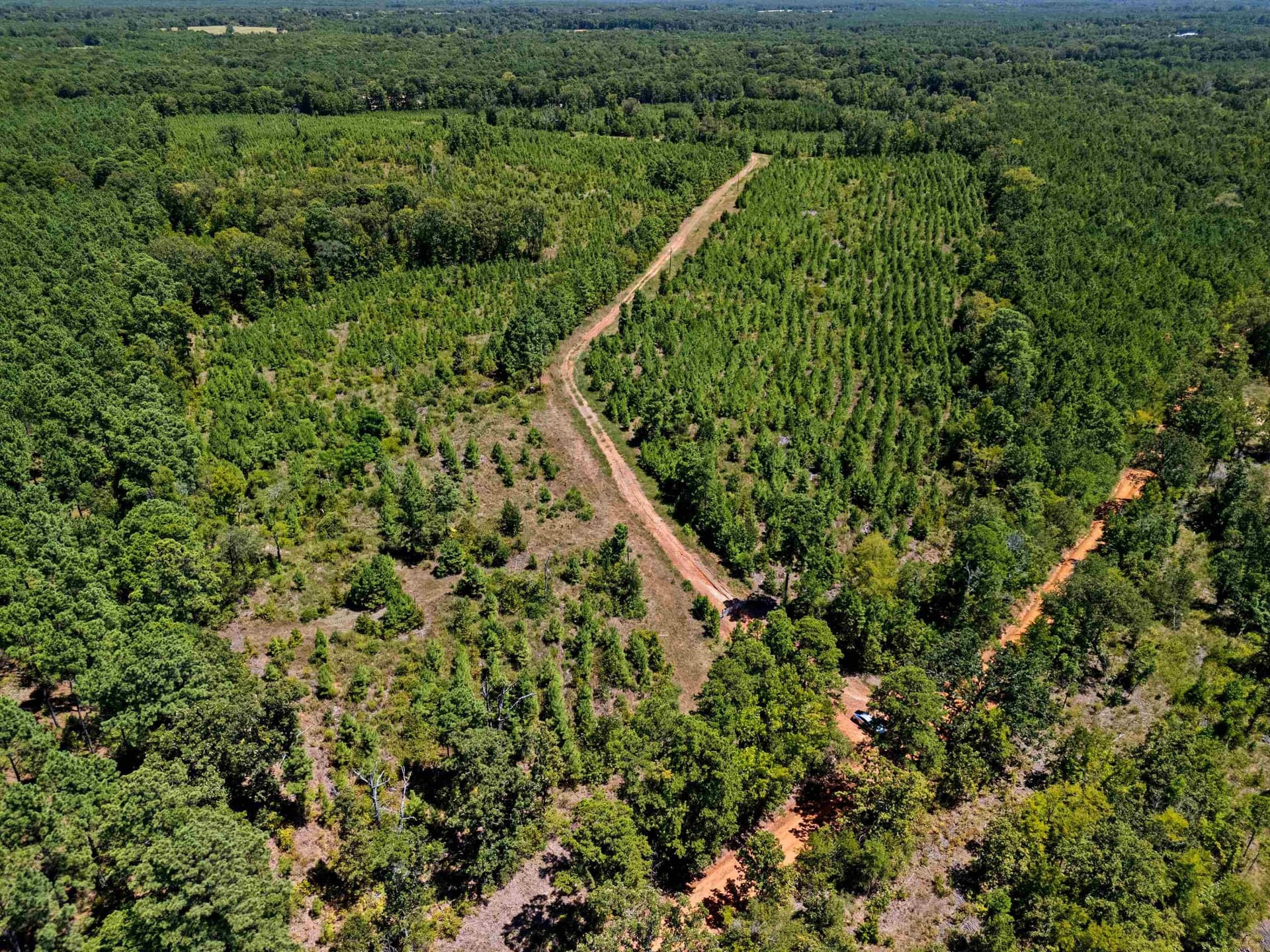 100.72 acres in Texas County - photo 6