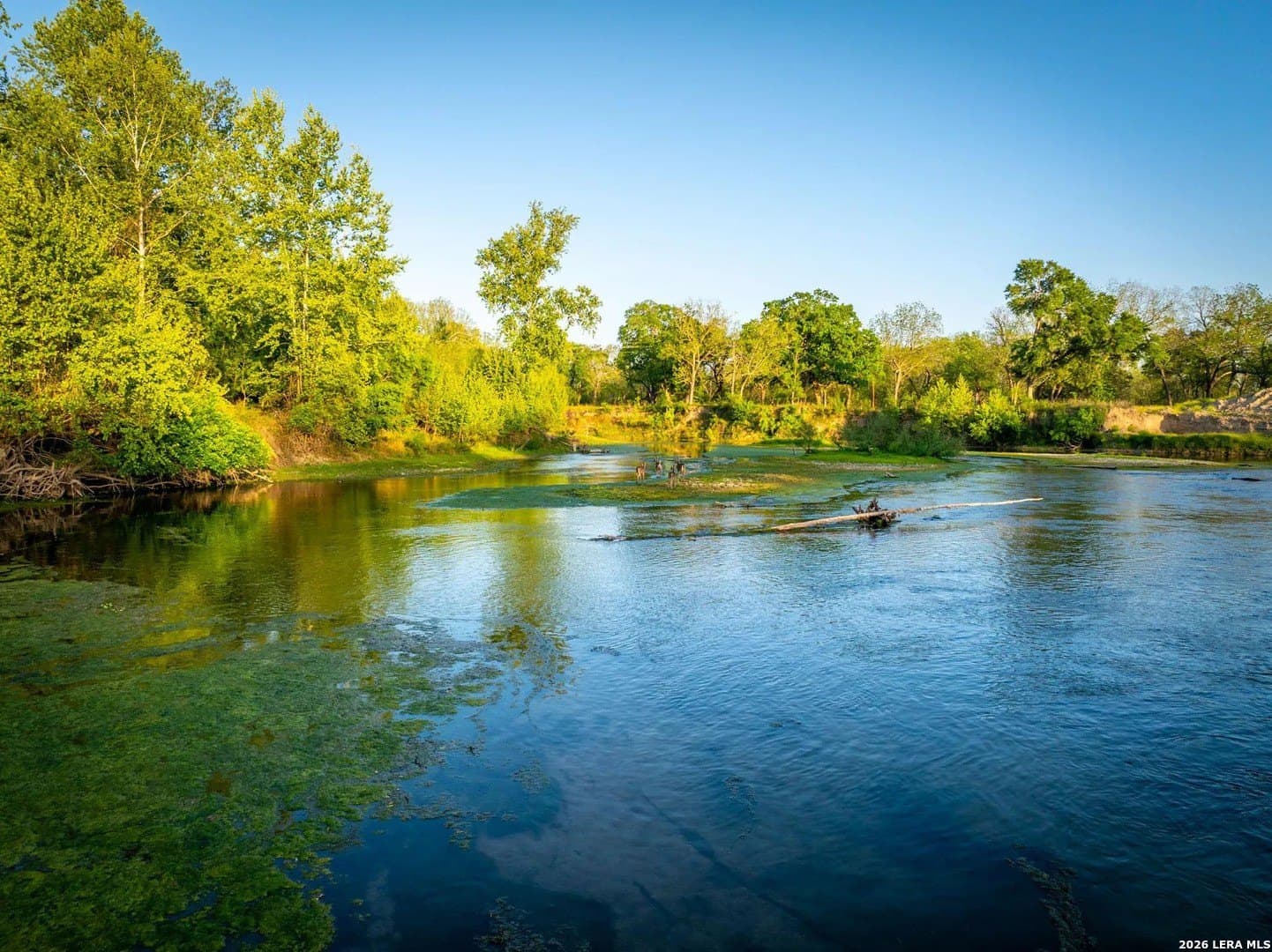 12.26 acres in Guadalupe County - photo 4