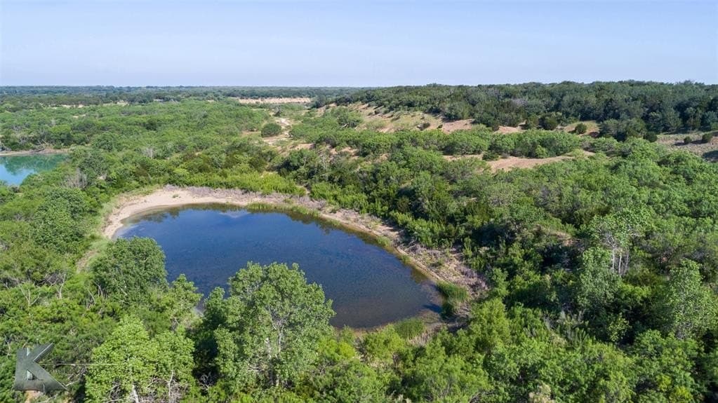 21.11 acres in Eastland County gallery image 3