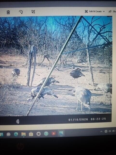 481.34 acres in Coke County - photo 72