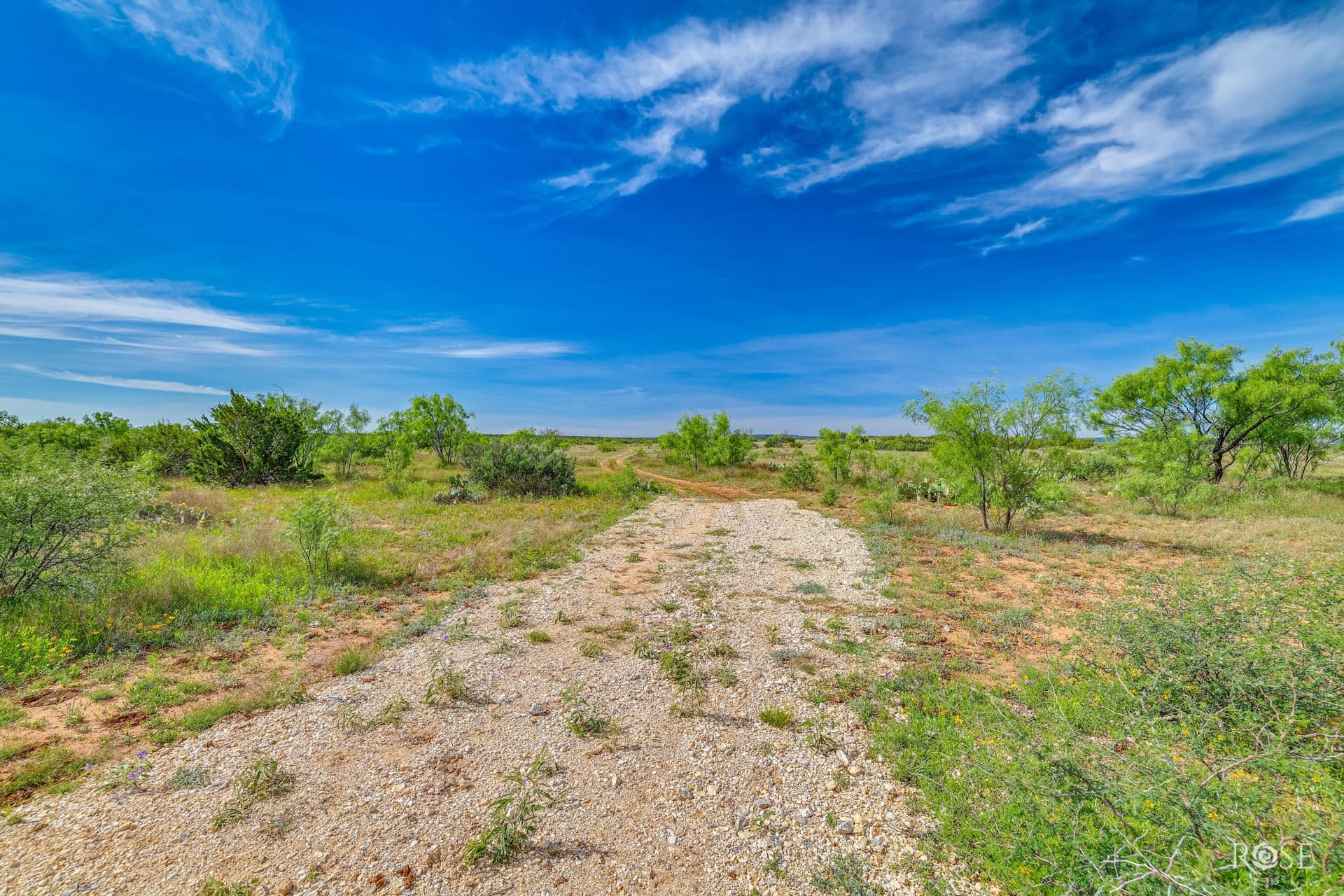 481.34 acres in Coke County - photo 37