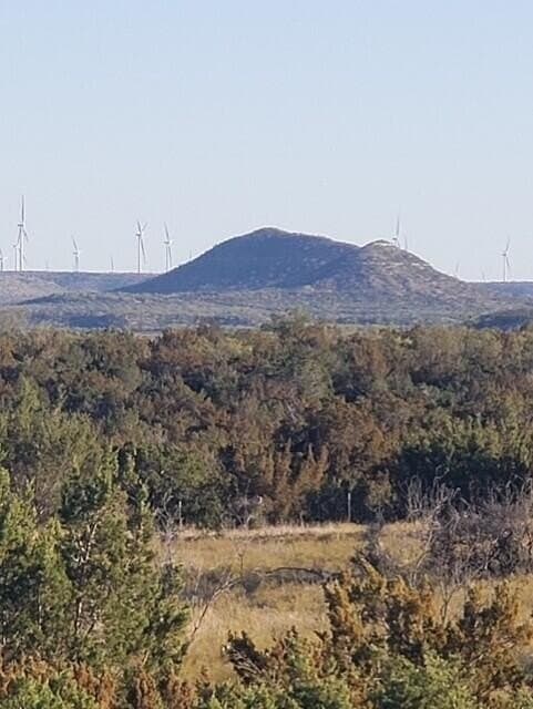 481.34 acres in Coke County - photo 61