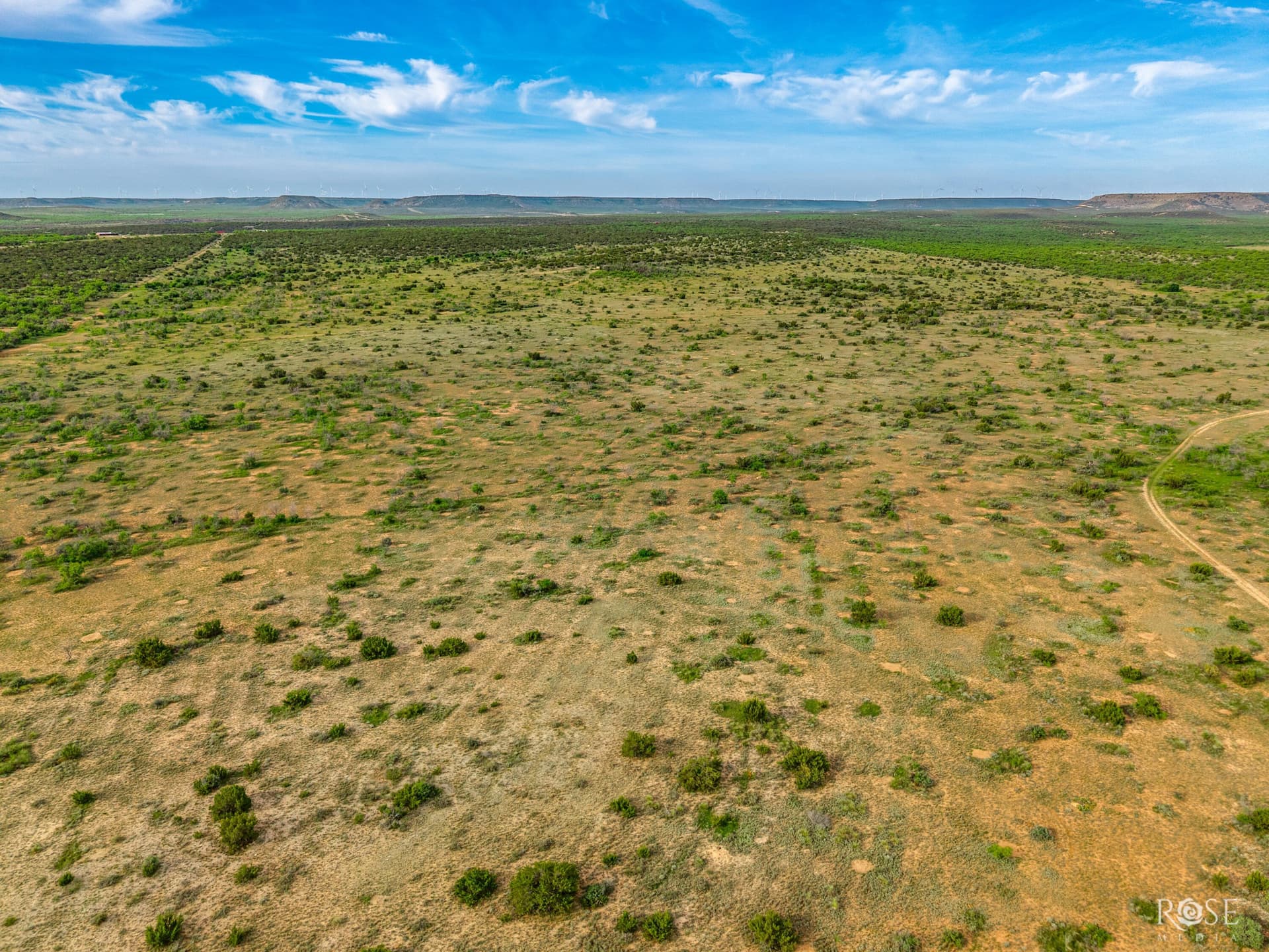 481.34 acres in Coke County - photo 9