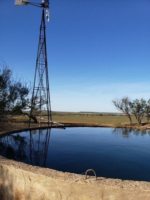 481.34 acres in Coke County - photo 65
