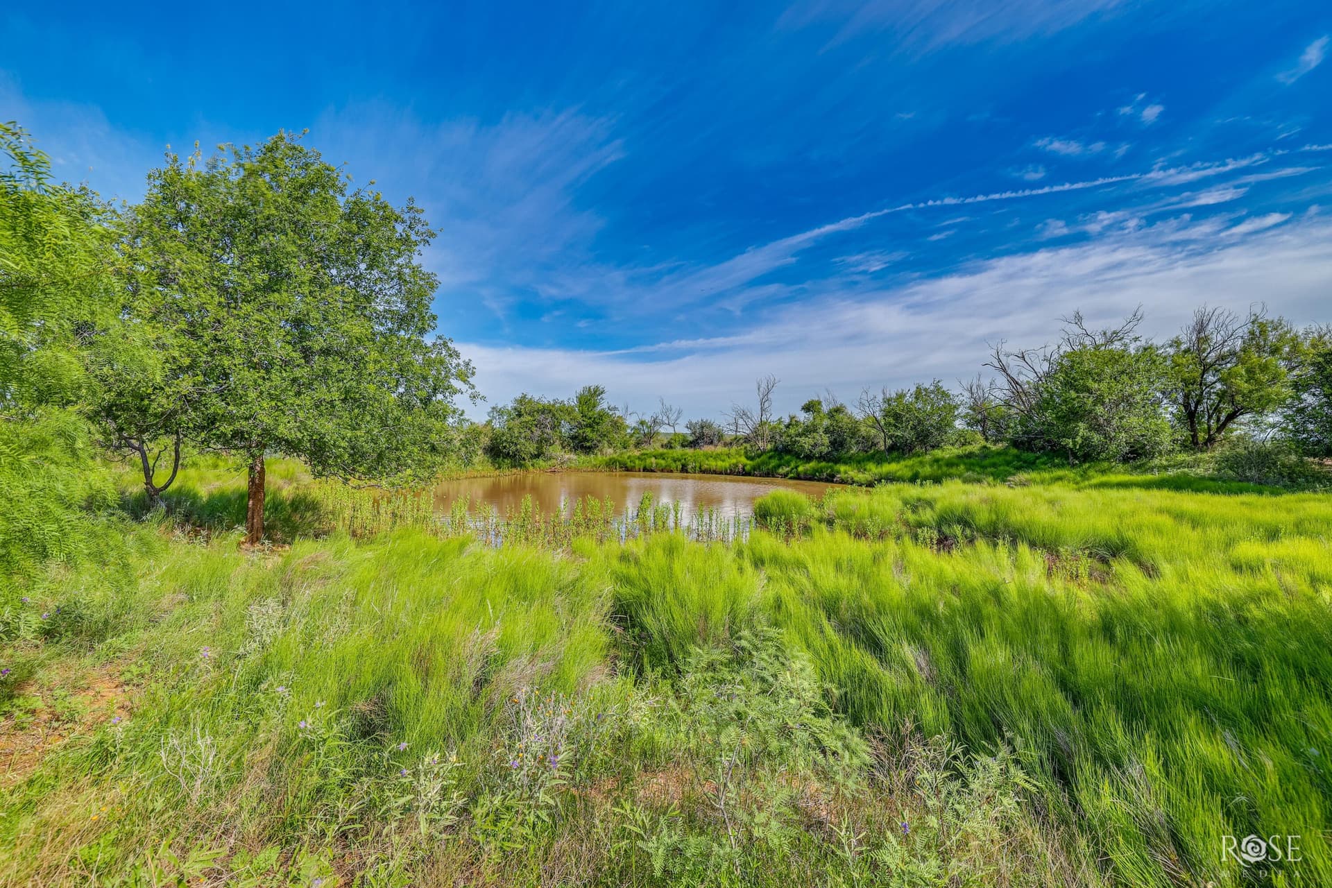 481.34 acres in Coke County - photo 35