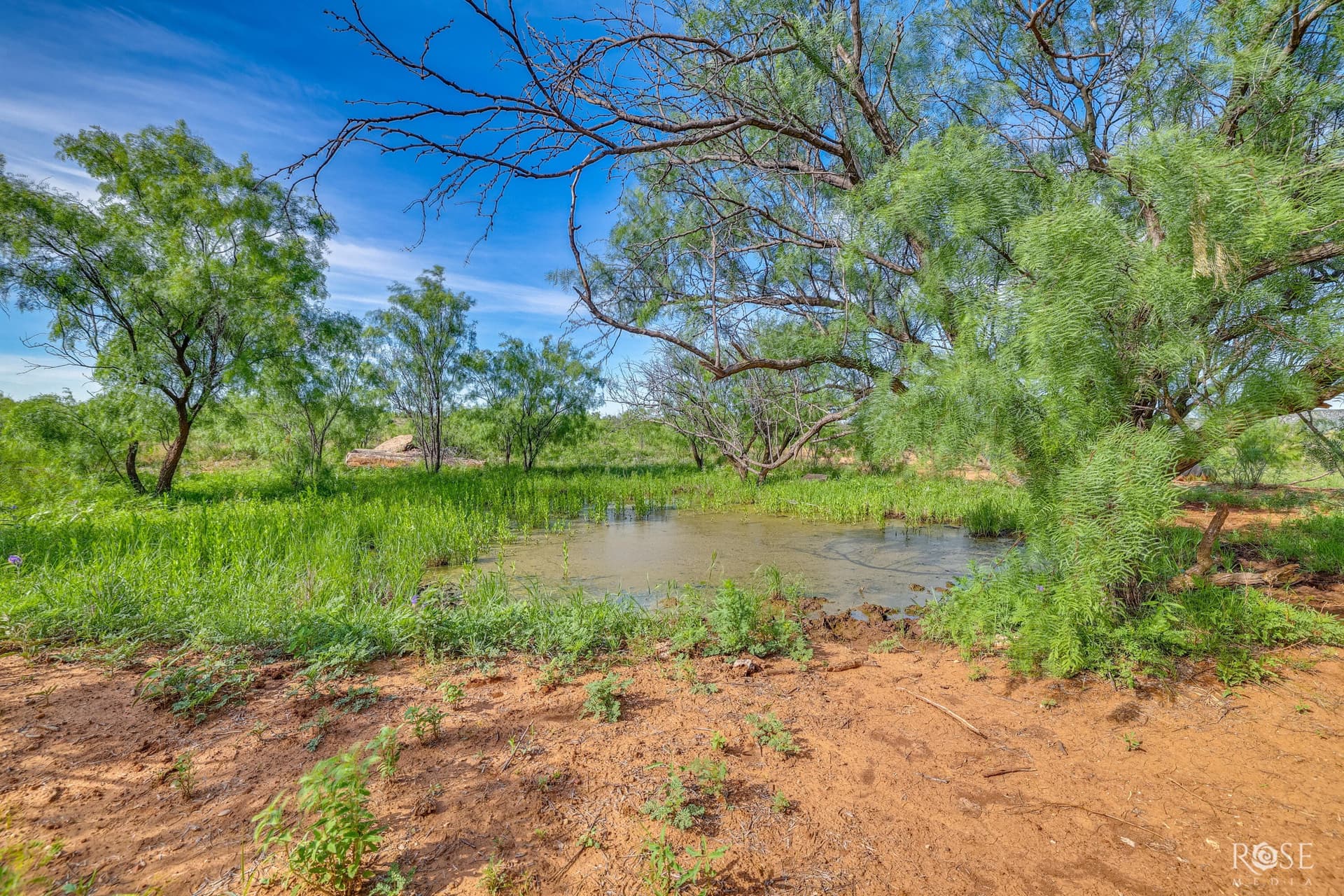 481.34 acres in Coke County - photo 34