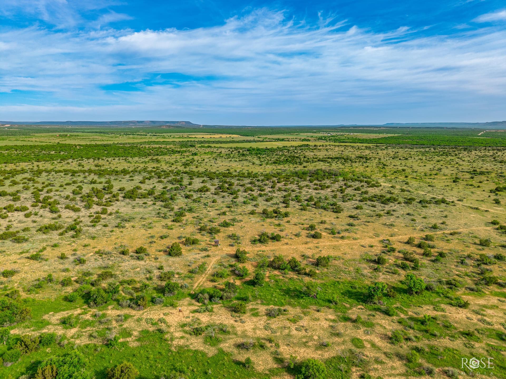 481.34 acres in Coke County - photo 16