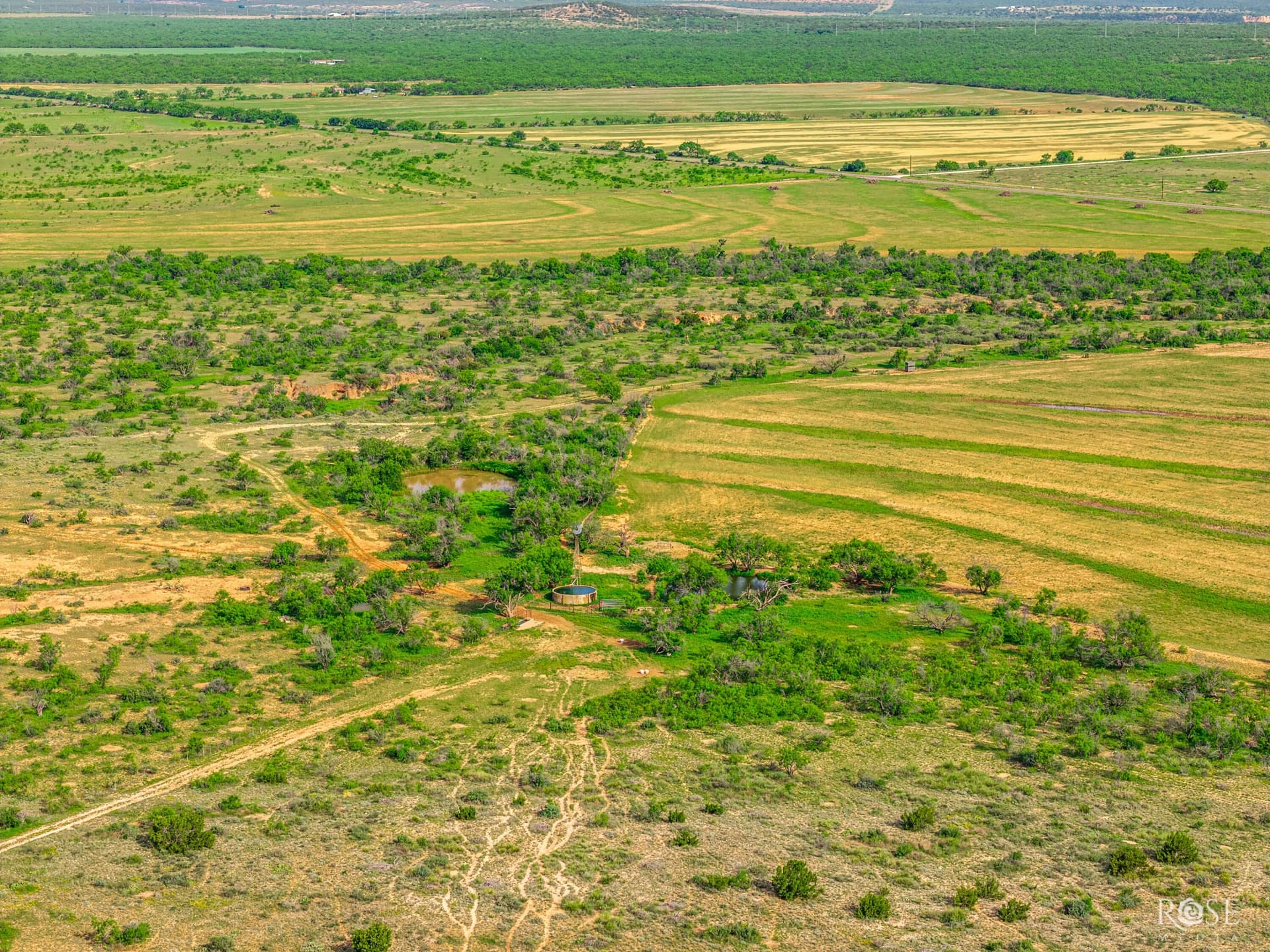 481.34 acres in Coke County - photo 19