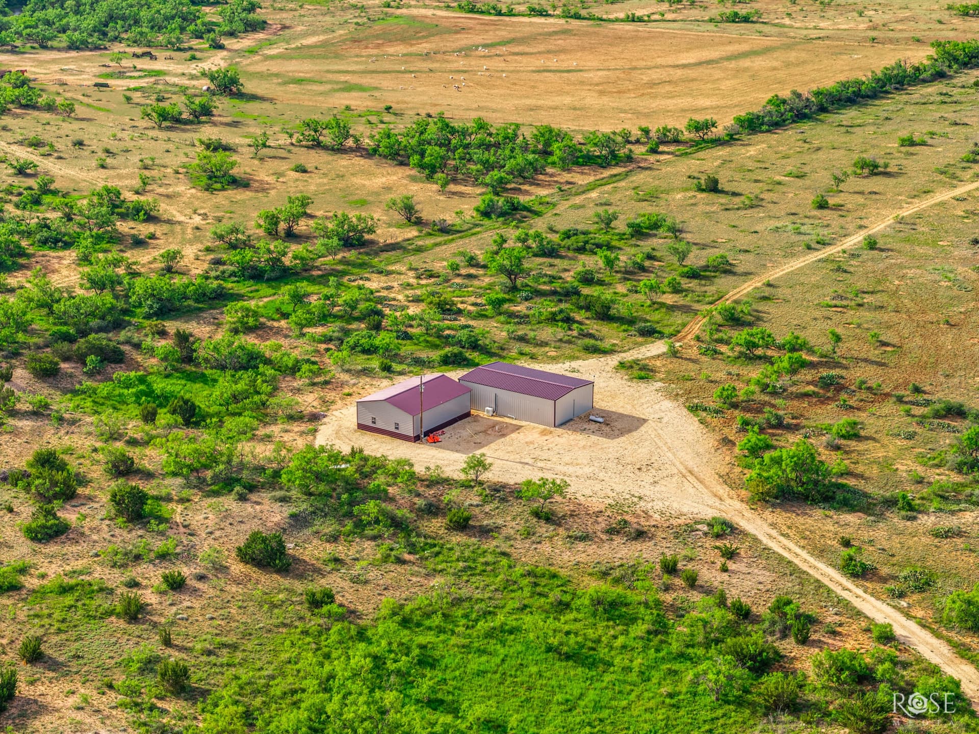 481.34 acres in Coke County gallery image 4