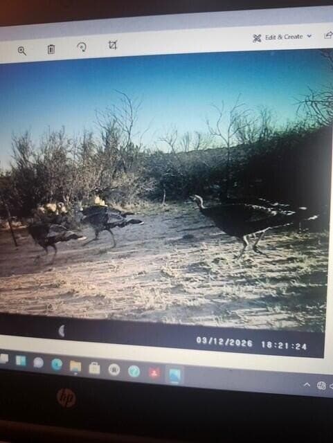 481.34 acres in Coke County - photo 75