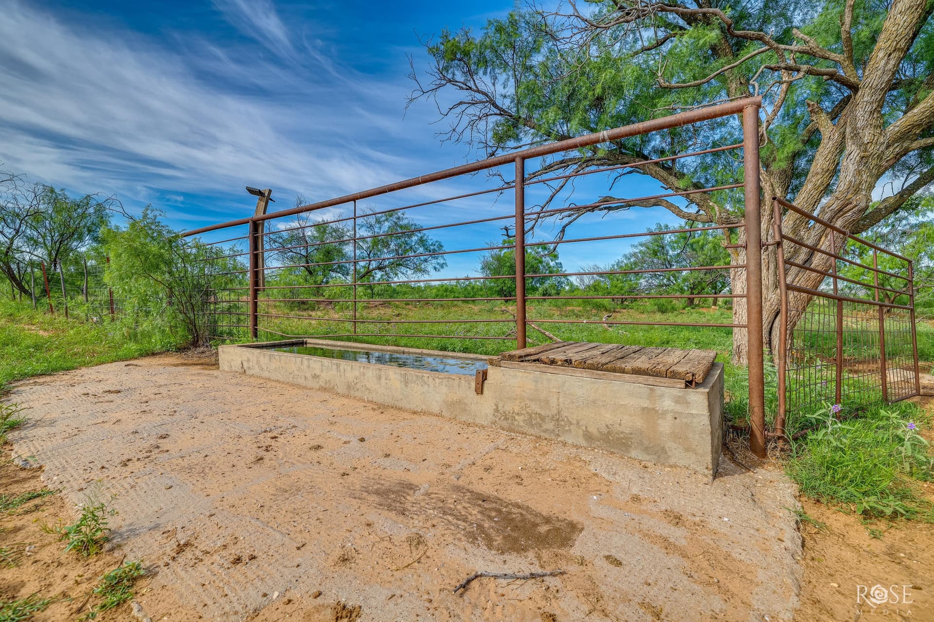481.34 acres in Coke County - photo 30