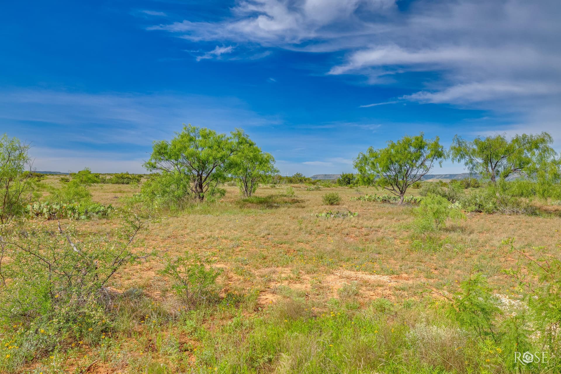 481.34 acres in Coke County - photo 36