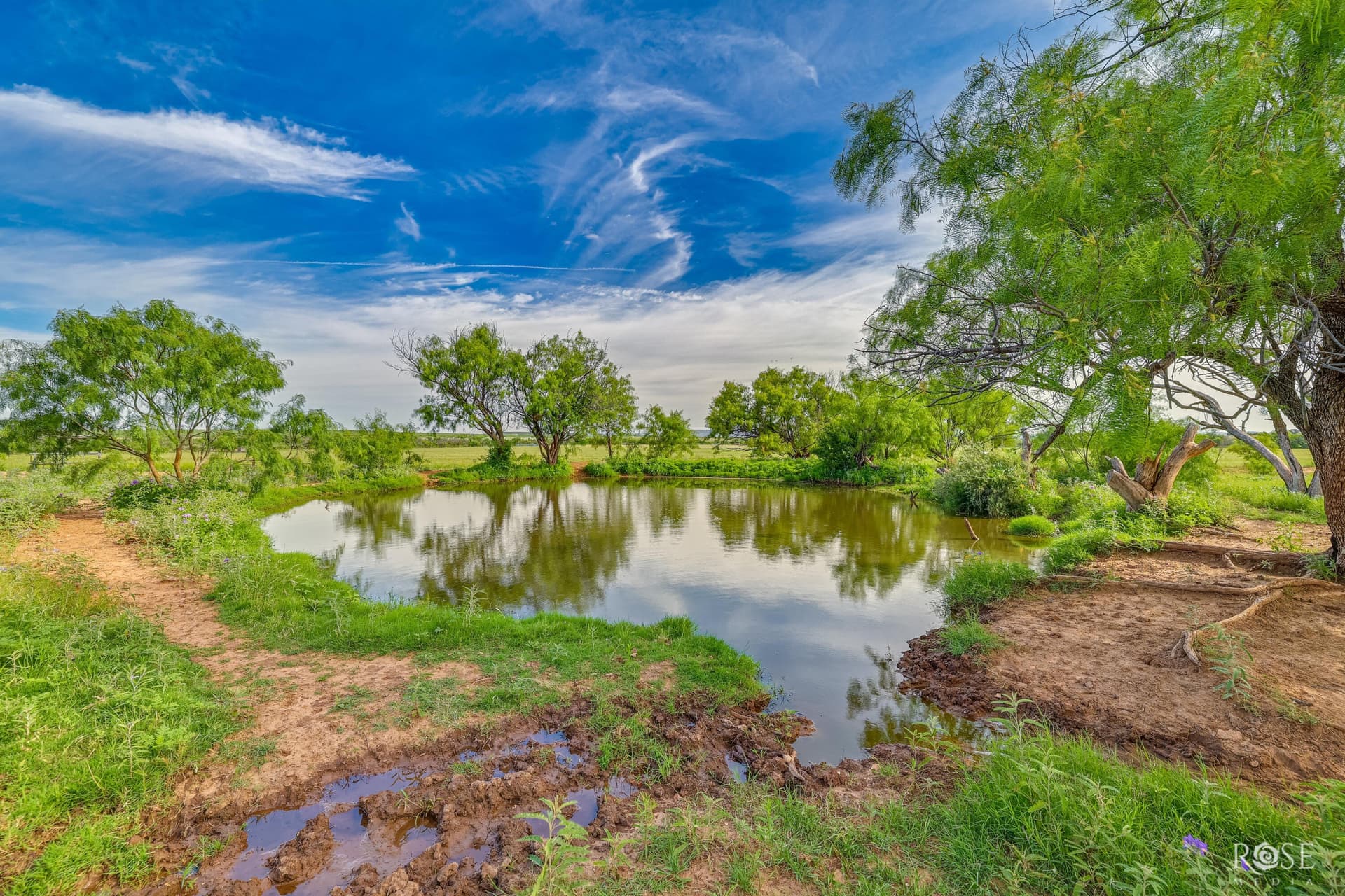 481.34 acres in Coke County - photo 33