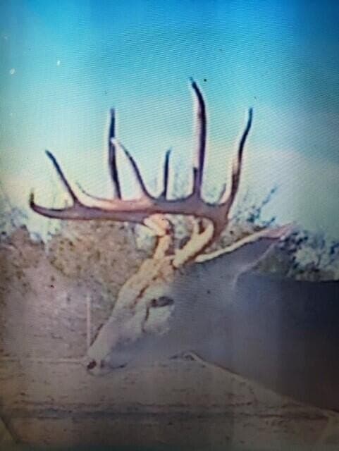 481.34 acres in Coke County - photo 64