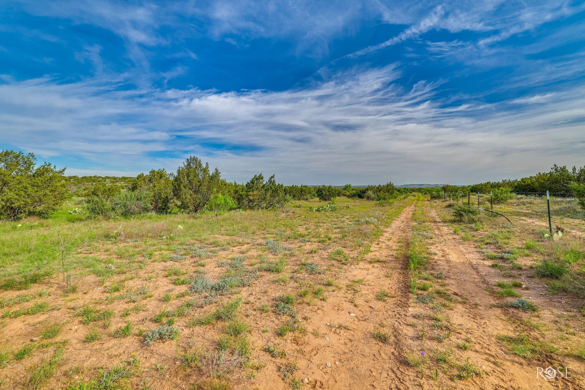 481.34 acres in Coke County - photo 26