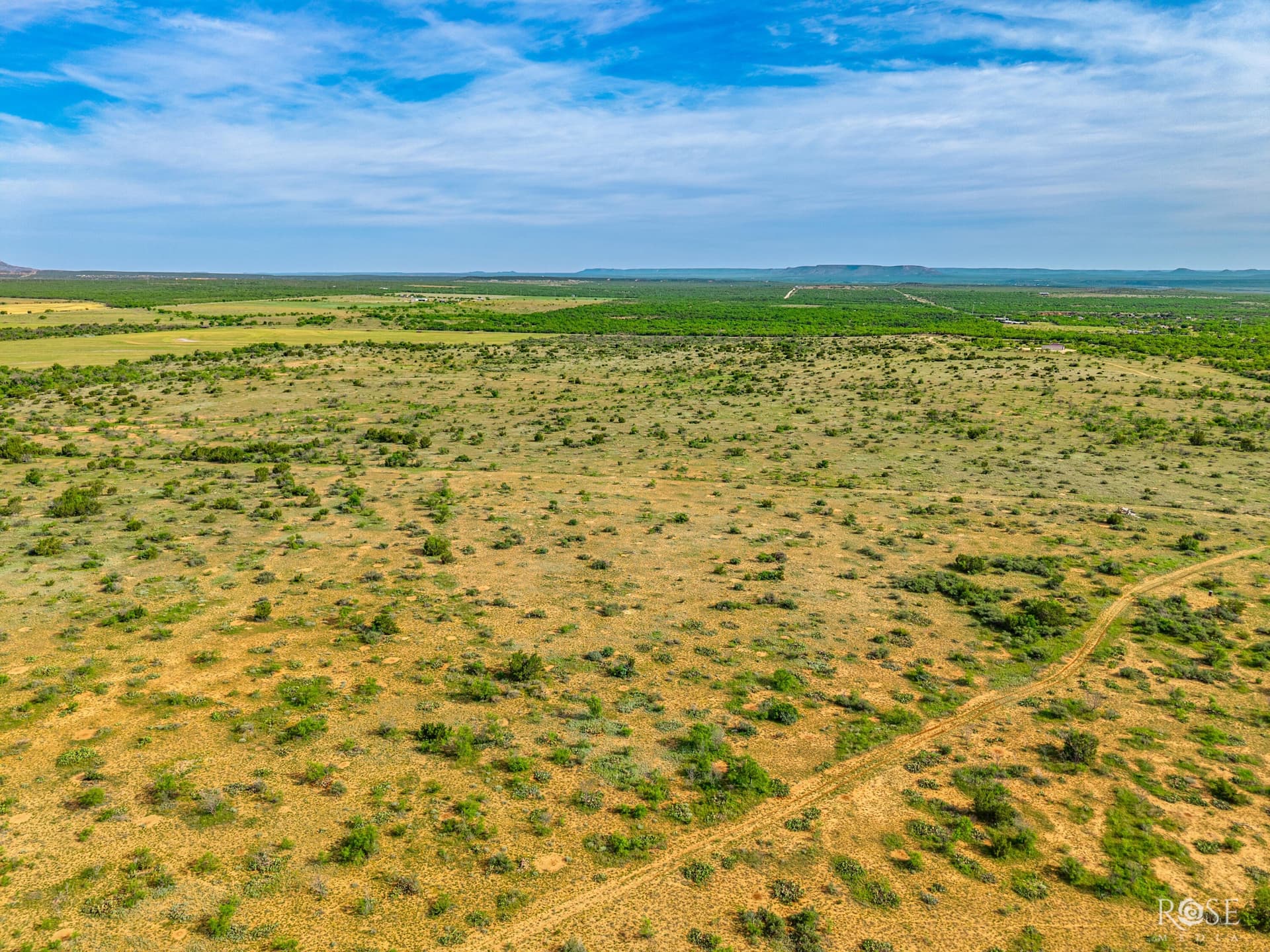 481.34 acres in Coke County - photo 18