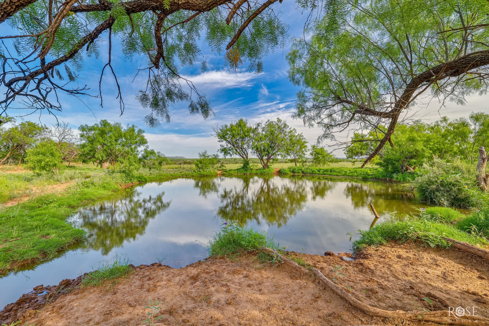 481.34 acres in Coke County