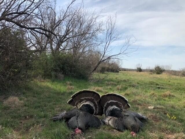 481.34 acres in Coke County - photo 60