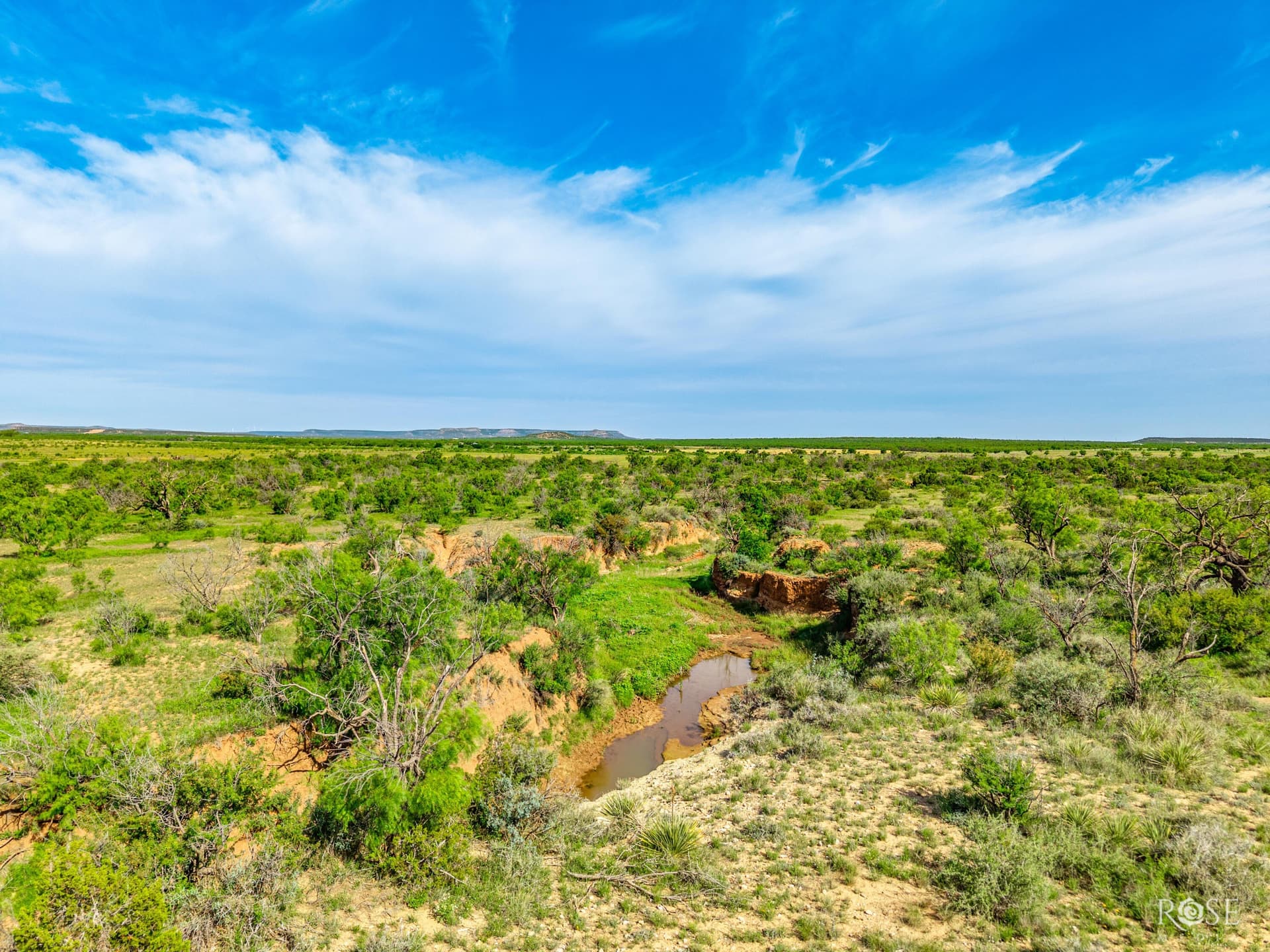 481.34 acres in Coke County - photo 21