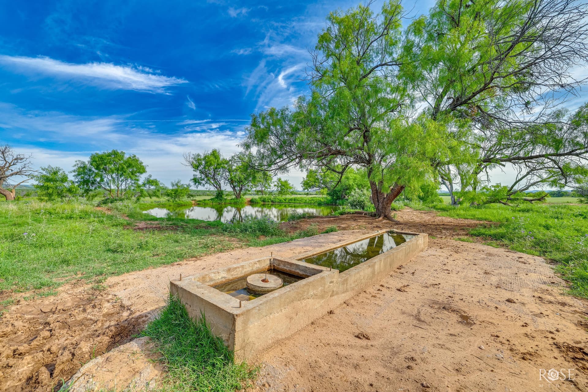 481.34 acres in Coke County - photo 32