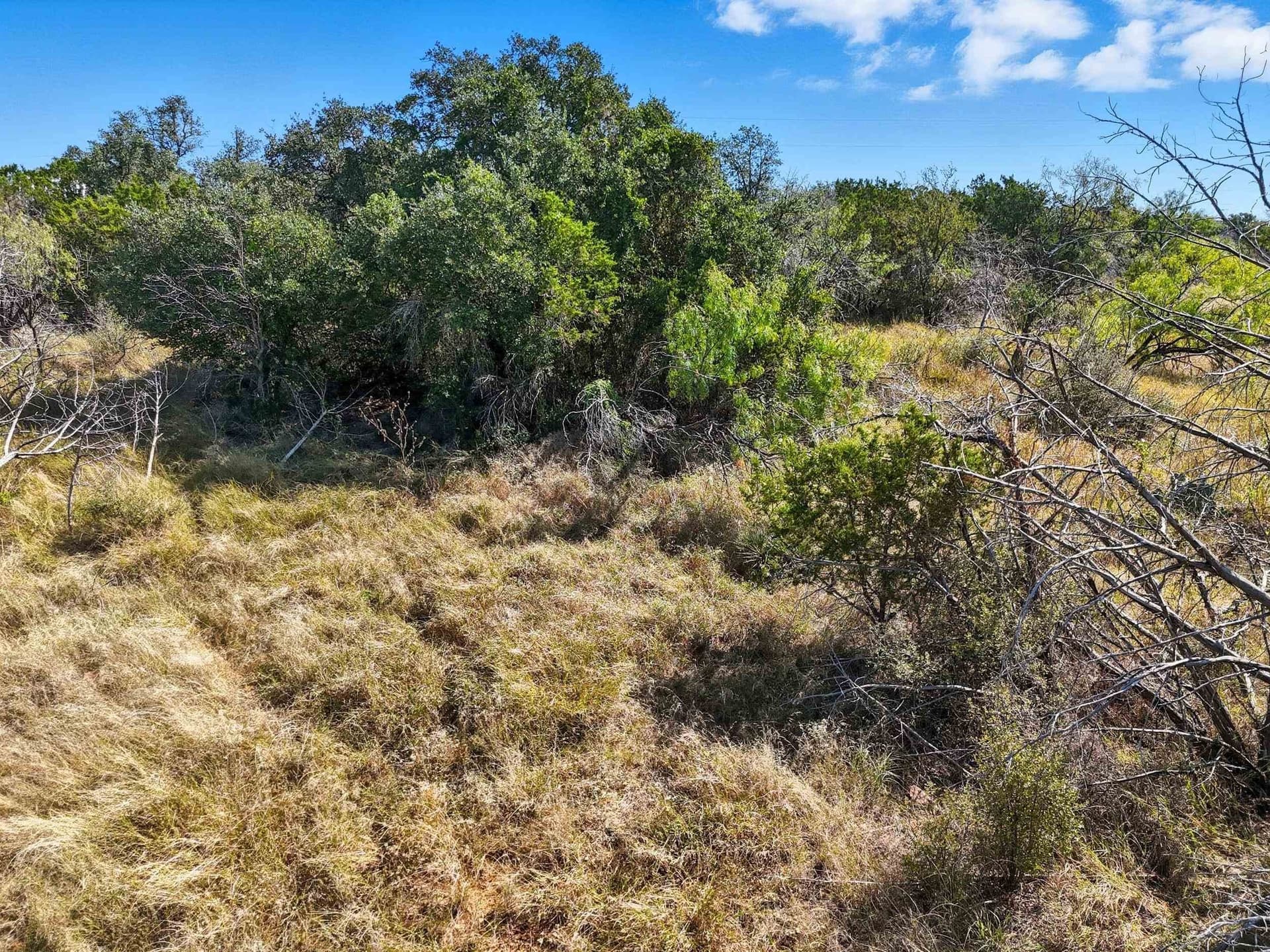 5.5 acres in Burnet County - photo 12