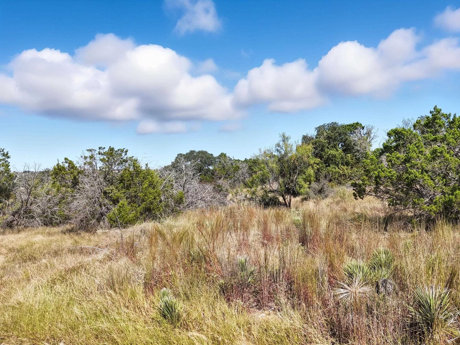 5.5 acres in Burnet County - photo 18