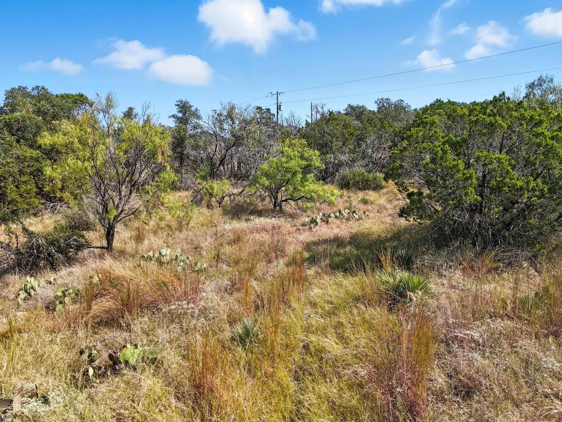 5.5 acres in Burnet County - photo 7