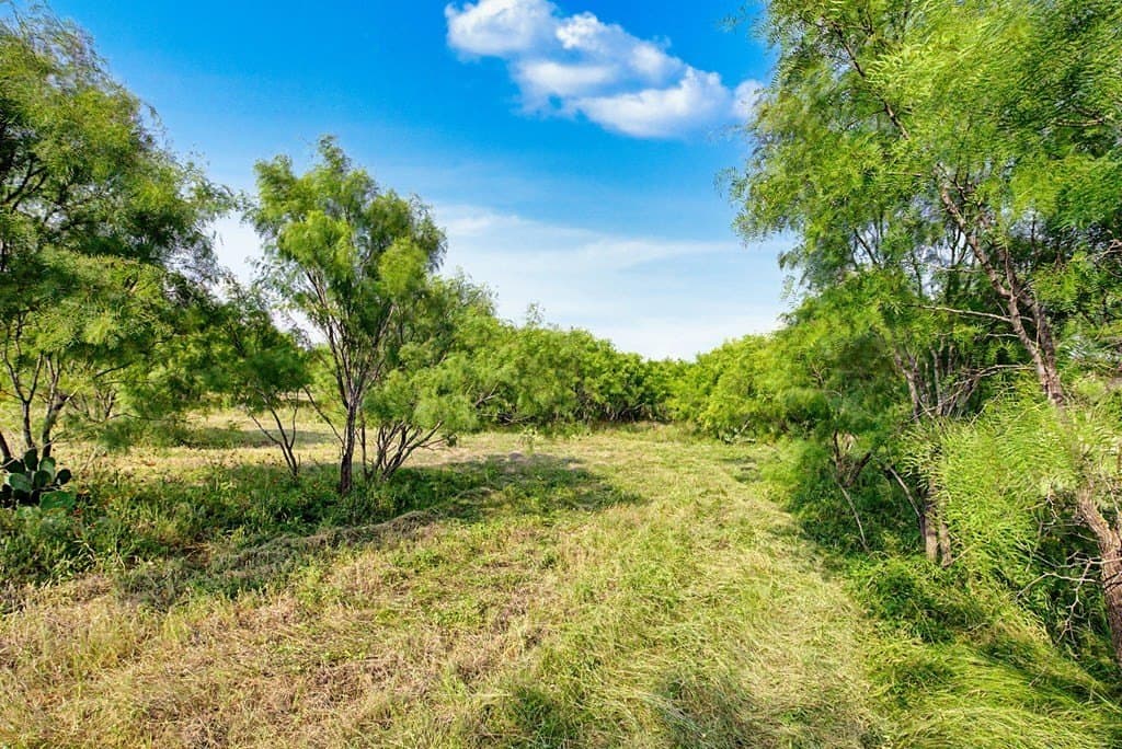 3.5 acres in Gillespie County gallery image 3