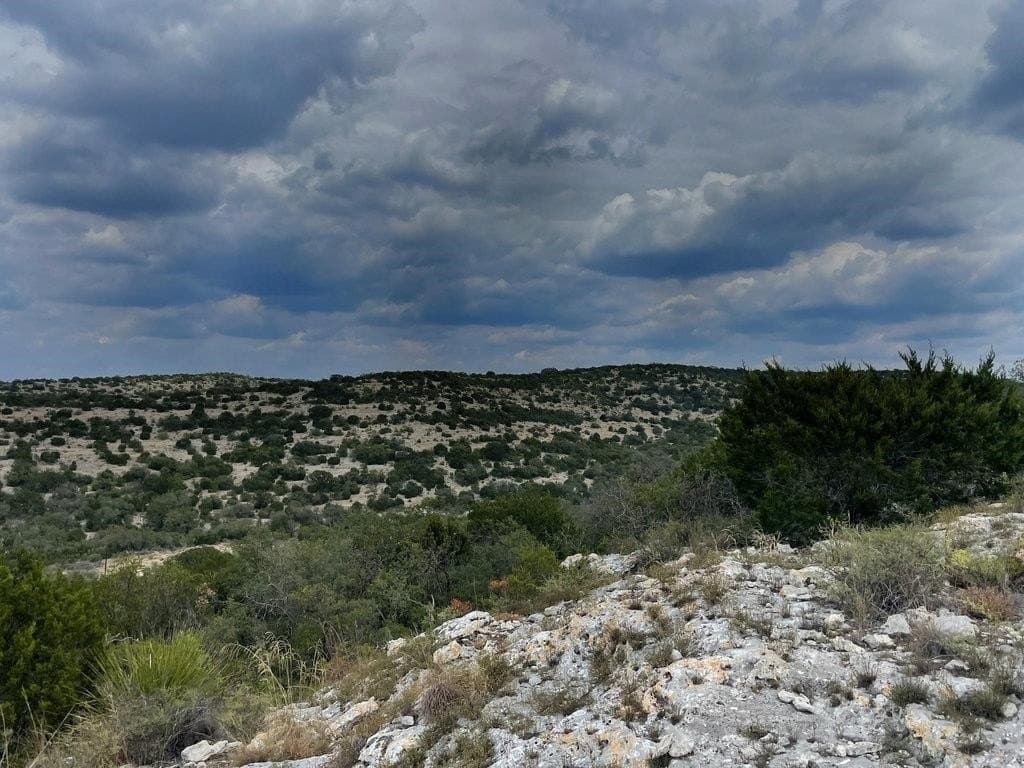 120.88 acres in Edwards County gallery image 2