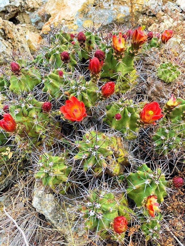 120.88 acres in Edwards County featured view