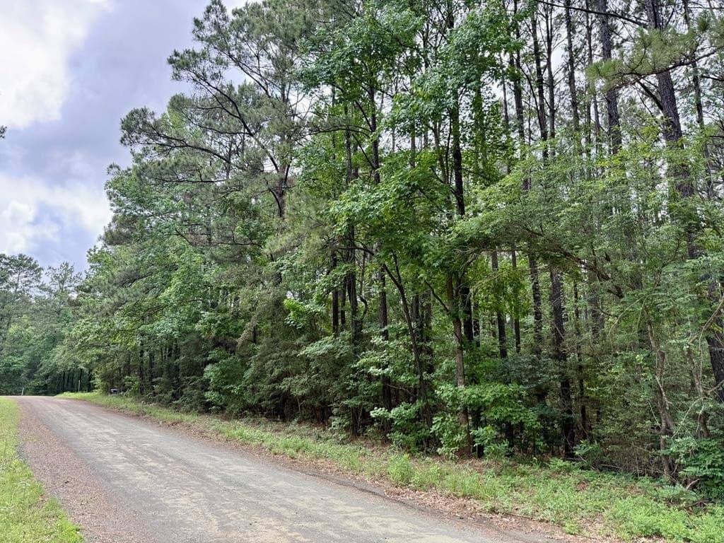 5 acres in Texas County gallery image 2