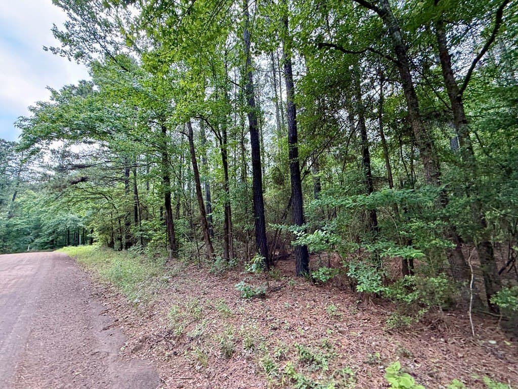 5 acres in Texas County gallery image 3