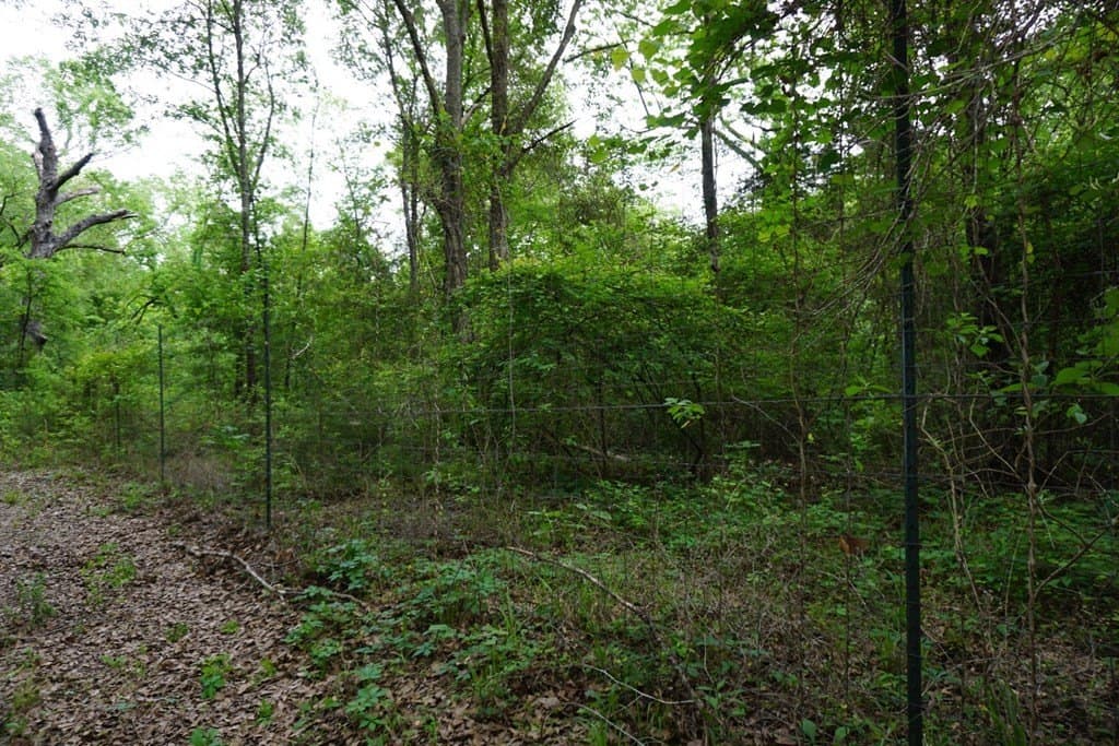 22.5 acres in Henderson County - photo 25
