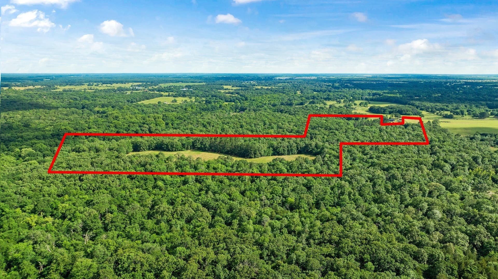 45.25 acres in Lamar County - photo 5