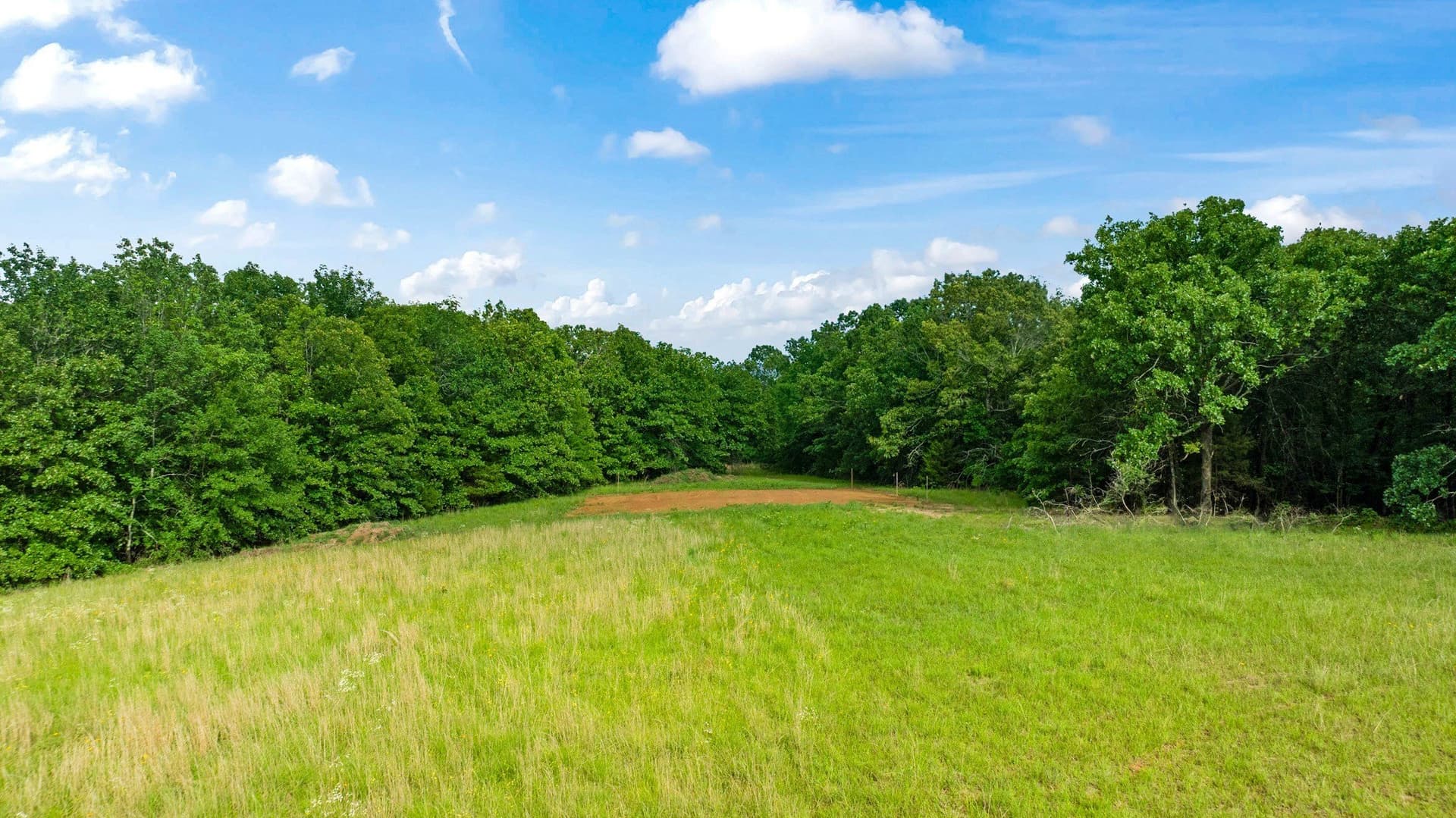 45.25 acres in Lamar County - photo 16