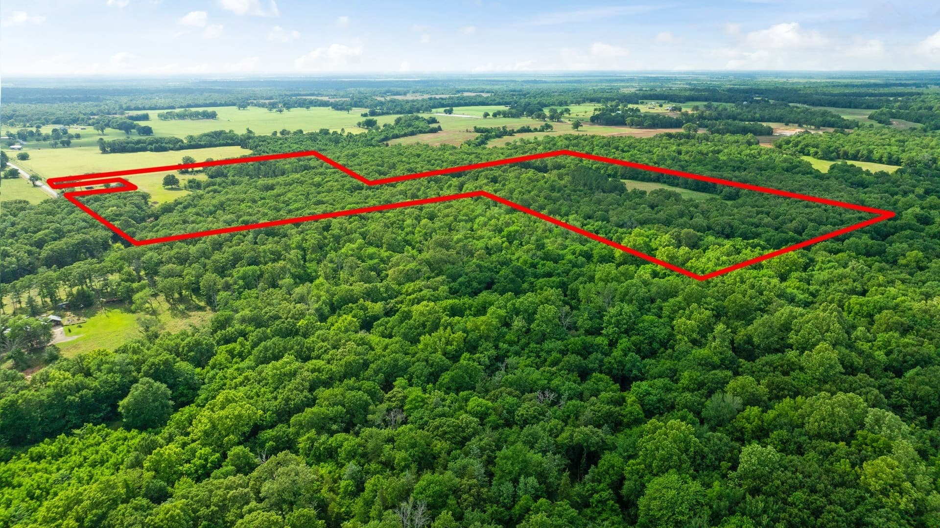 45.25 acres in Lamar County - photo 6