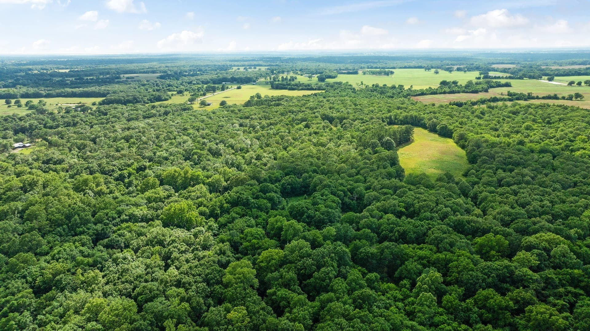 45.25 acres in Lamar County - photo 18