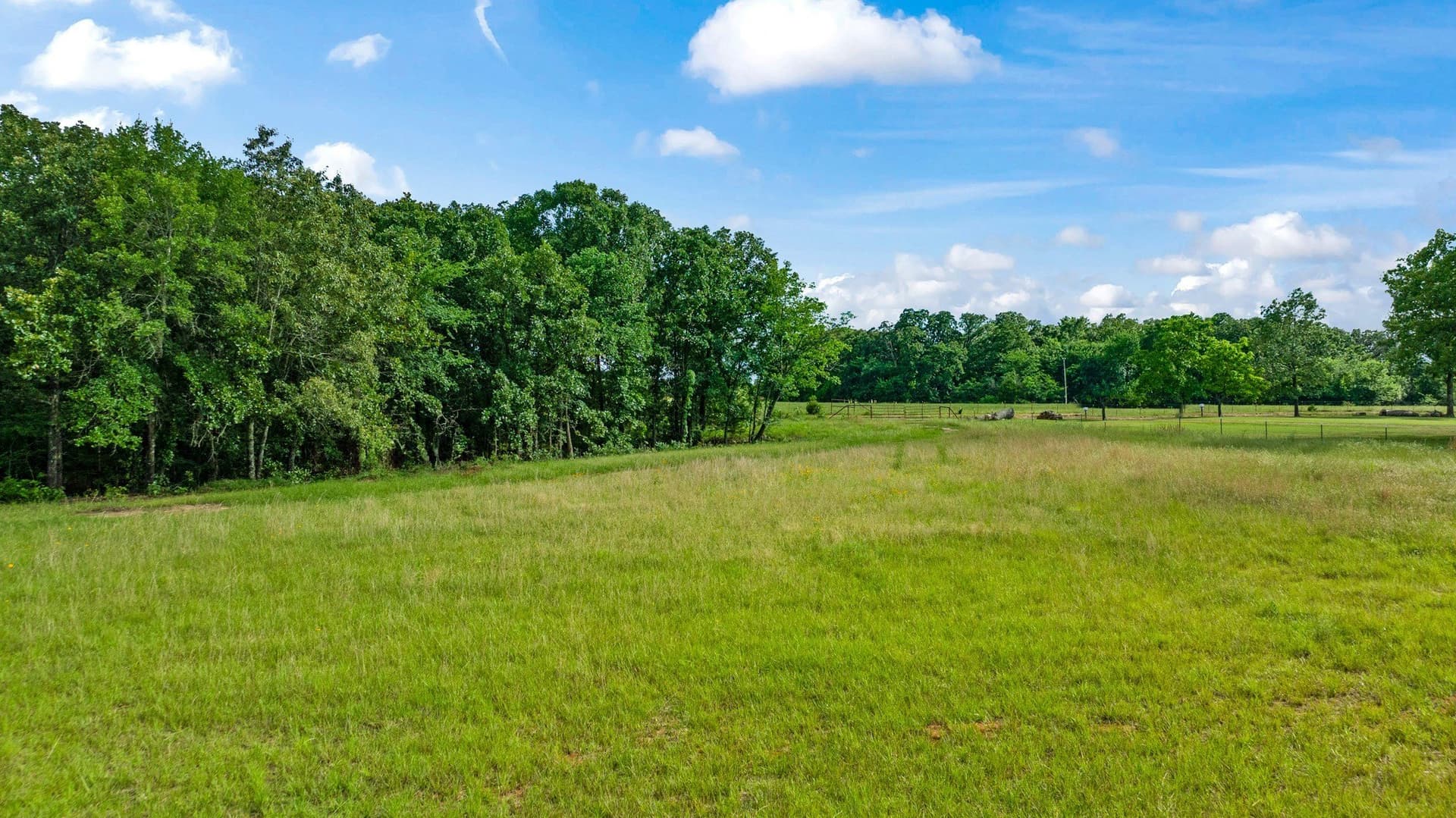 45.25 acres in Lamar County - photo 13