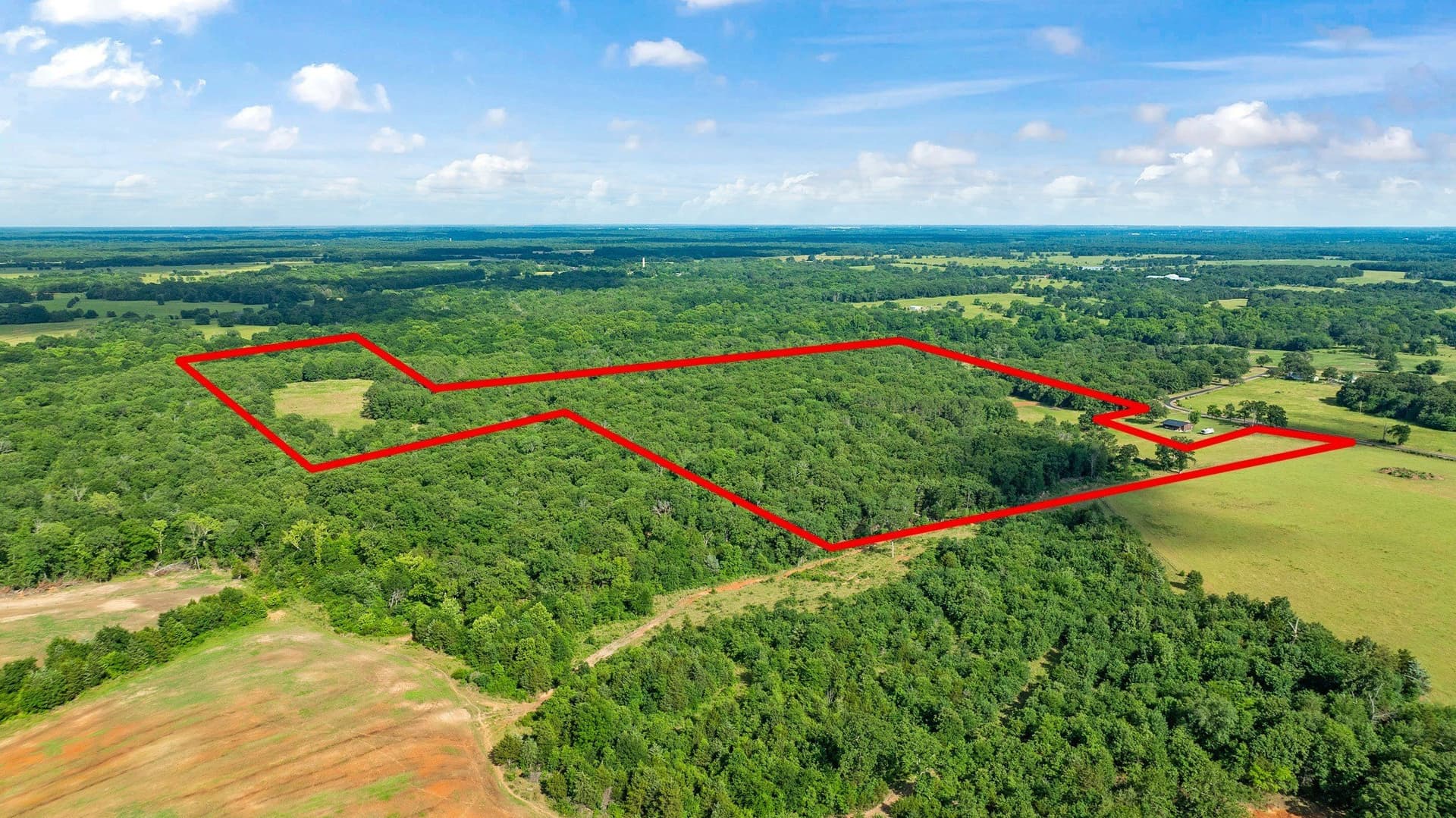 45.25 acres in Lamar County - photo 4