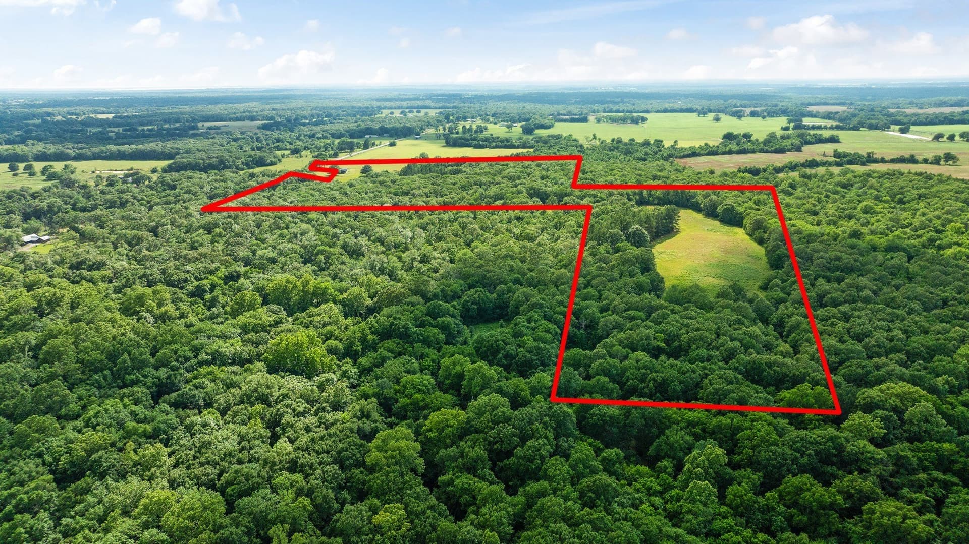 45.25 acres in Lamar County - photo 7