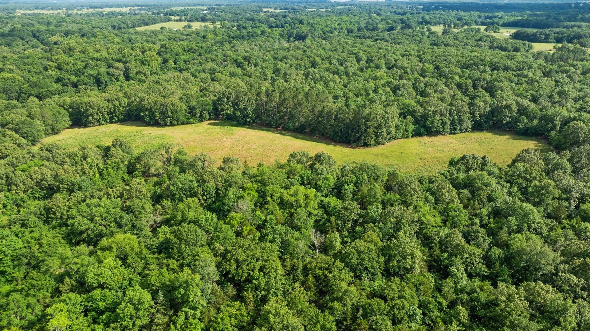 45.25 acres in Lamar County - photo 21