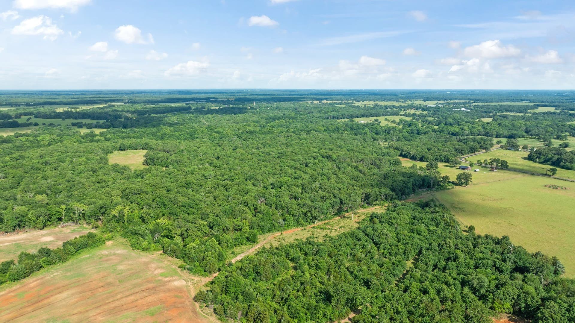 45.25 acres in Lamar County - photo 22