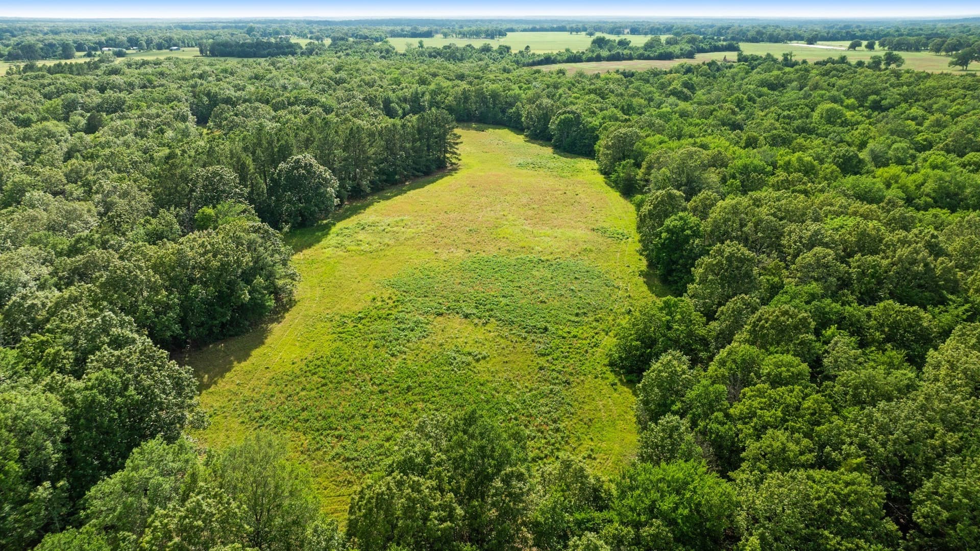 45.25 acres in Lamar County - photo 20