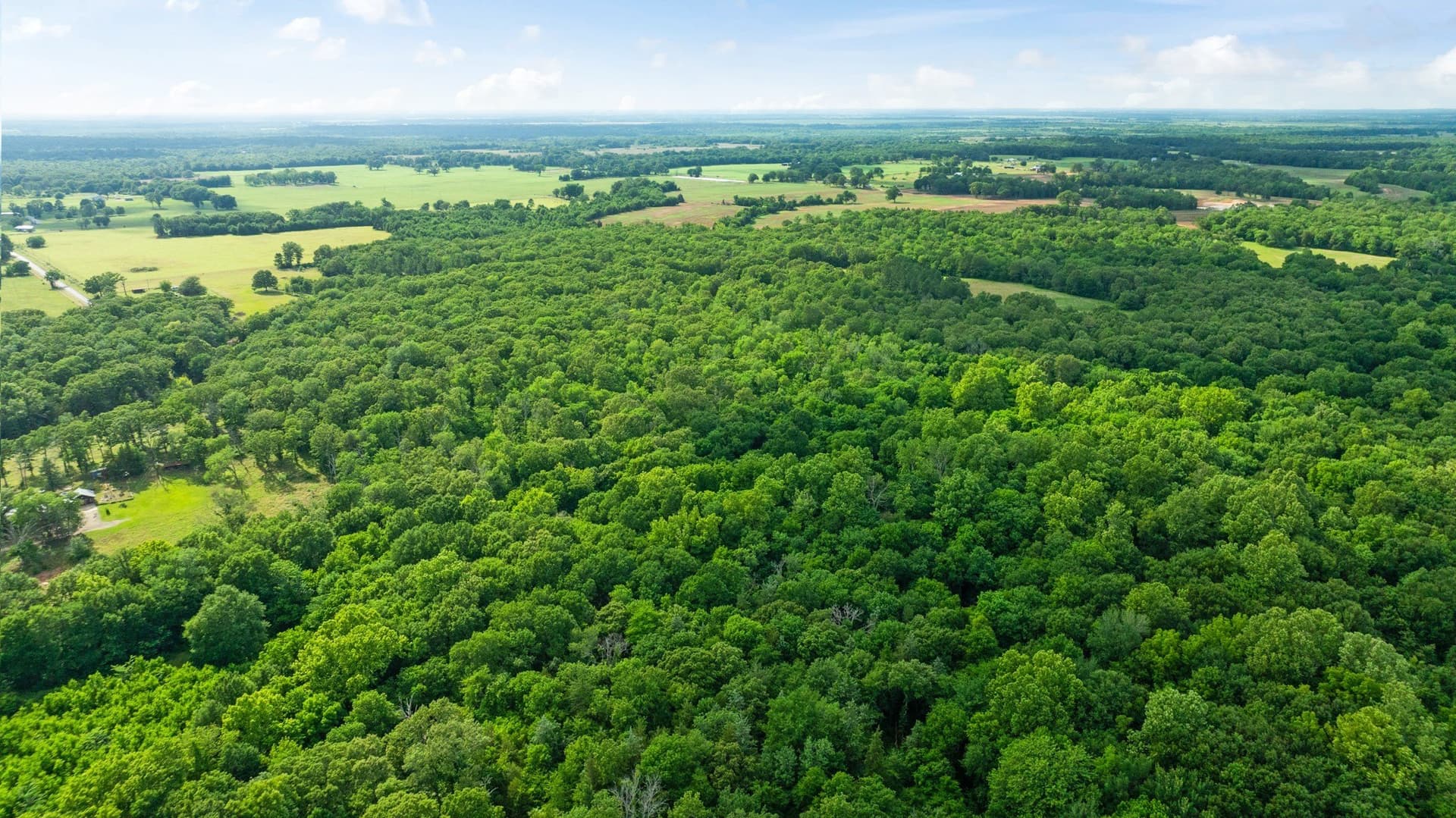 45.25 acres in Lamar County - photo 17