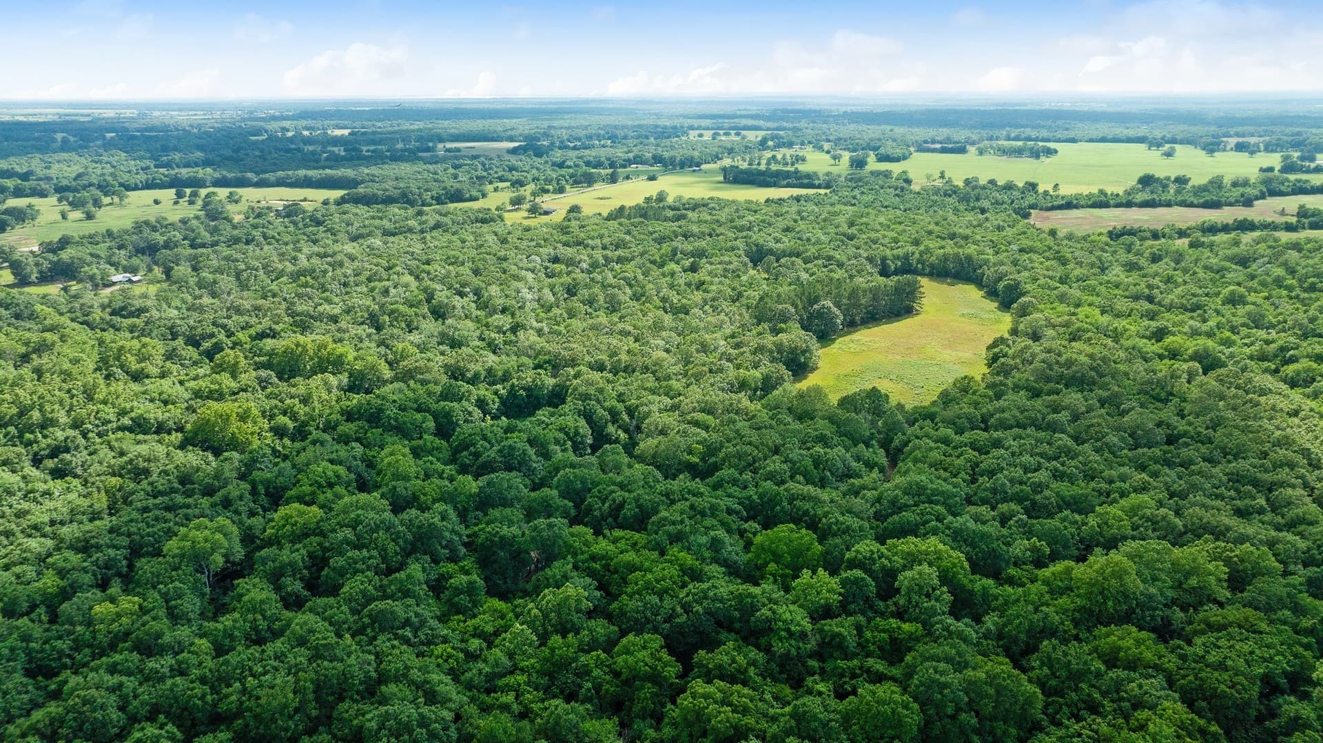 45.25 acres in Lamar County - photo 19