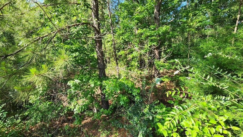 1.18 acres in Texas County - photo 6