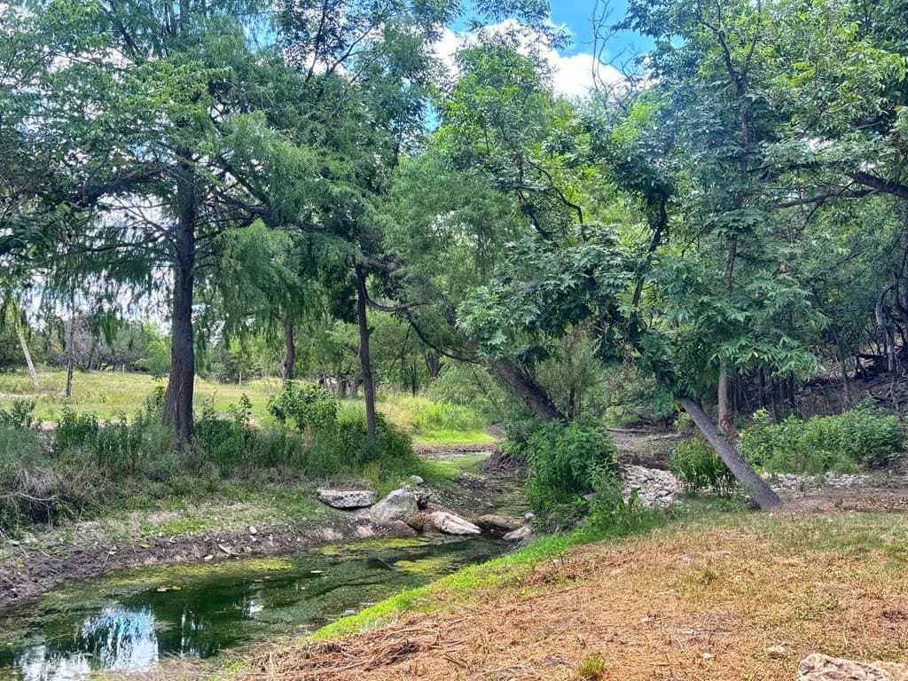 11.35 acres in Edwards County gallery image 2