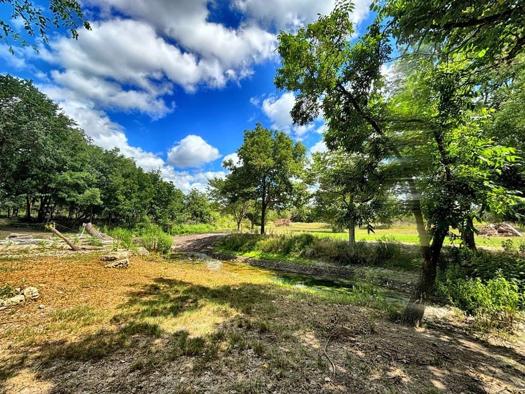 11.35 acres in Edwards County gallery image 3