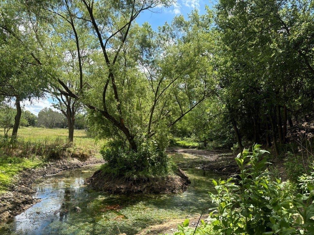11.35 acres in Edwards County gallery image 4